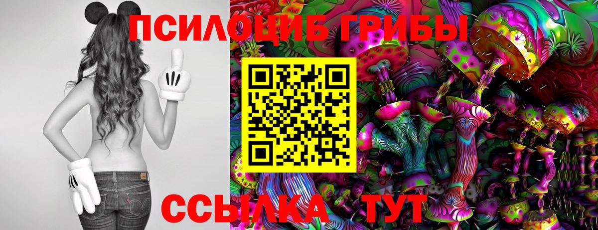 где купить наркотик  Галлюциногенные грибы Cubensis  Вход с VPN  Лосино-Петровский 